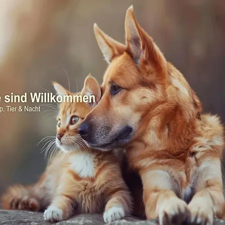 Hotell Inselhotel Kleiner Bodden 3*